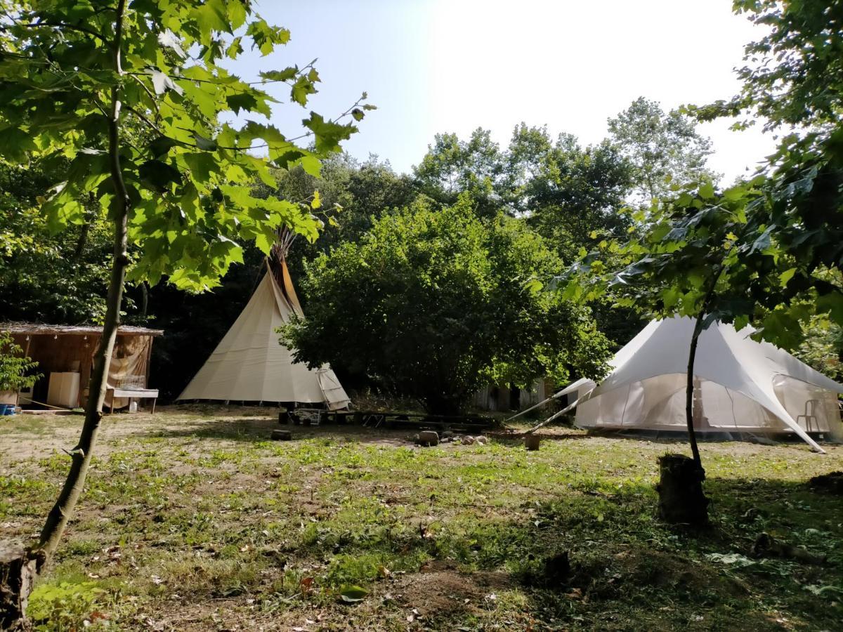 Albergue Del Oso Tierraluz Arbúcies Dış mekan fotoğraf